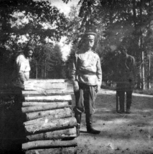 41. Государь и дрова - копия.jpg